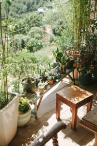 Simple Ways to Create a Relaxing Garden Space at Home